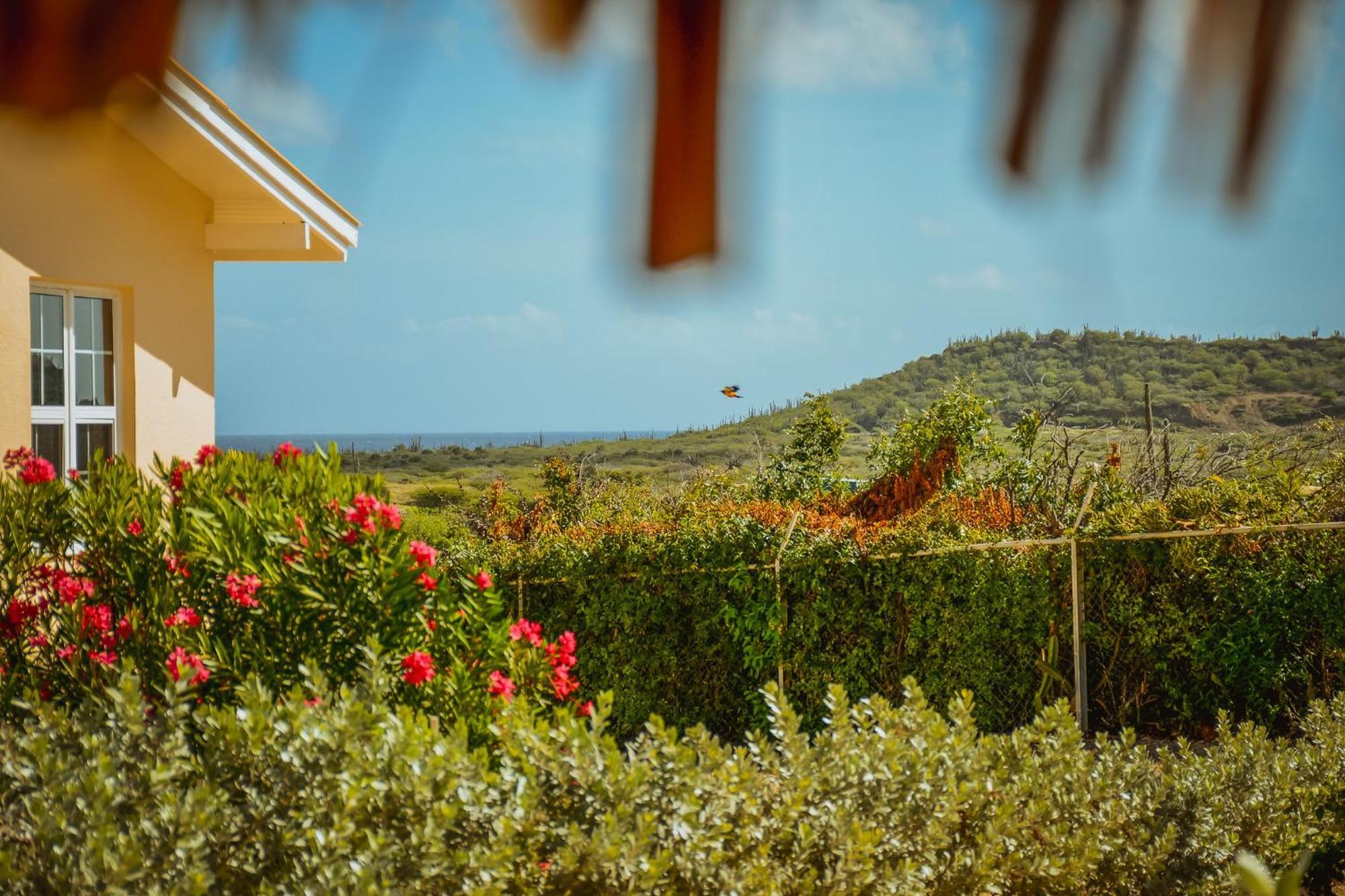 Santa Catharina Resort - Casa Samson Willemstad Esterno foto